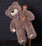 Плюшевий ведмедик Mister Medved Хеппі 130 см Капучіно (085), фото 7