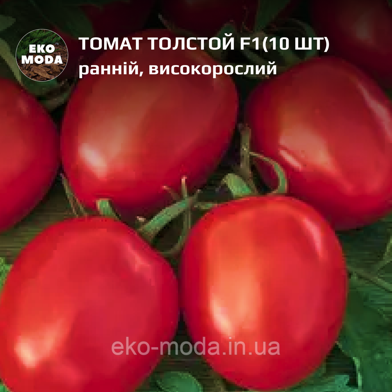 Томат Толстой F1 ранній, високорослий, (10 шт, zip-пакет)