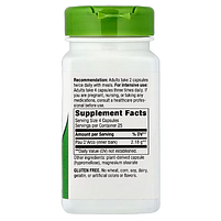 Кора мурашиного дерева, Pau d'Arco Inner Bark Nature's Way 1090 мг (100 капсул), фото 3