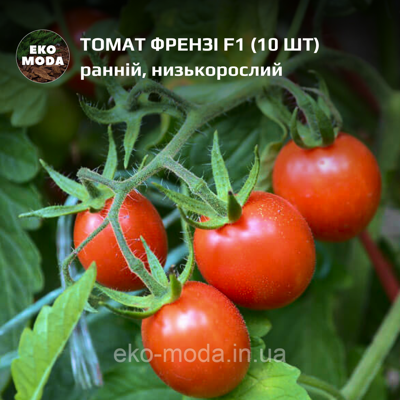 Томат Френзі F1 ранній, низькорослий, (10 шт, zip-пакет)