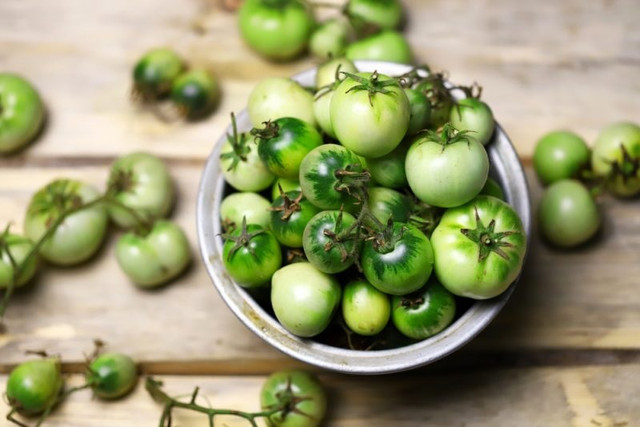 Квашені зелені помідори — це чудова консервація, що дозволяє зберегти насичений смак літа аж до зими. помідори, зелені помідори, використання зелених помідорів, квашені зелені помідори, рецепти квашених зелених помідорів
