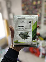 СВ 4097 ЦВ F1 огірок партенокарпічний Seminis 1000 насіння