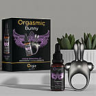 Набір ORGASMIC BUNNY віброкільце та краплі для клітора Orgie для пар і соло використання з 10 режимами