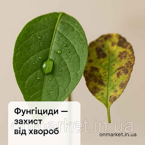 Фунгіциди — надійний захист рослин від грибкових хвороб