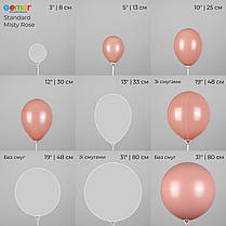 GEMAR-ДЖ 5" A50 099 Пастель Туманно-рожевий | Standard Misty Rose, фото 3