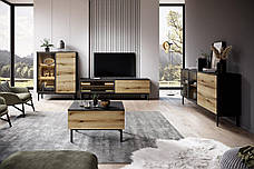 Тумба під телевізор з підсвіткою Perfect Home Ланг / Lang 2-дверна 2D/180 Чорний/дуб евок (PFH-091146), фото 5