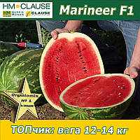 Кавун ранній Маріньєр F1 / Marineer F1, HM.Clause (Франція), 1000 насінин