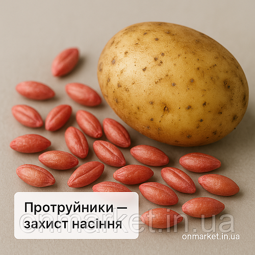 Протруйники — надійний старт для здорового врожаю