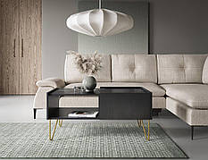 Стіл журнальний Perfect Home Гармоні / Harmony з 2 ящиками та золотими ніжками L97 Чорний/чорний мармур роял (PFH-091200)