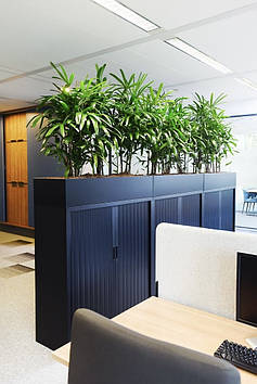 Кашпо на тумбі, зонування для офісу із фанери 1200х1200х300 мм