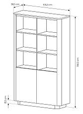 Стелаж Perfect Home Торро / Torro 2D/113 2-дверний Дуб кремона/чорний (PFH-091413), фото 3