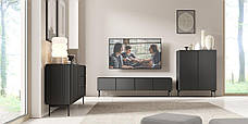 Тумба під телевізор Perfect Home Муті / Muti 4D/195 4-дверна Чорний (PFH-091404), фото 5