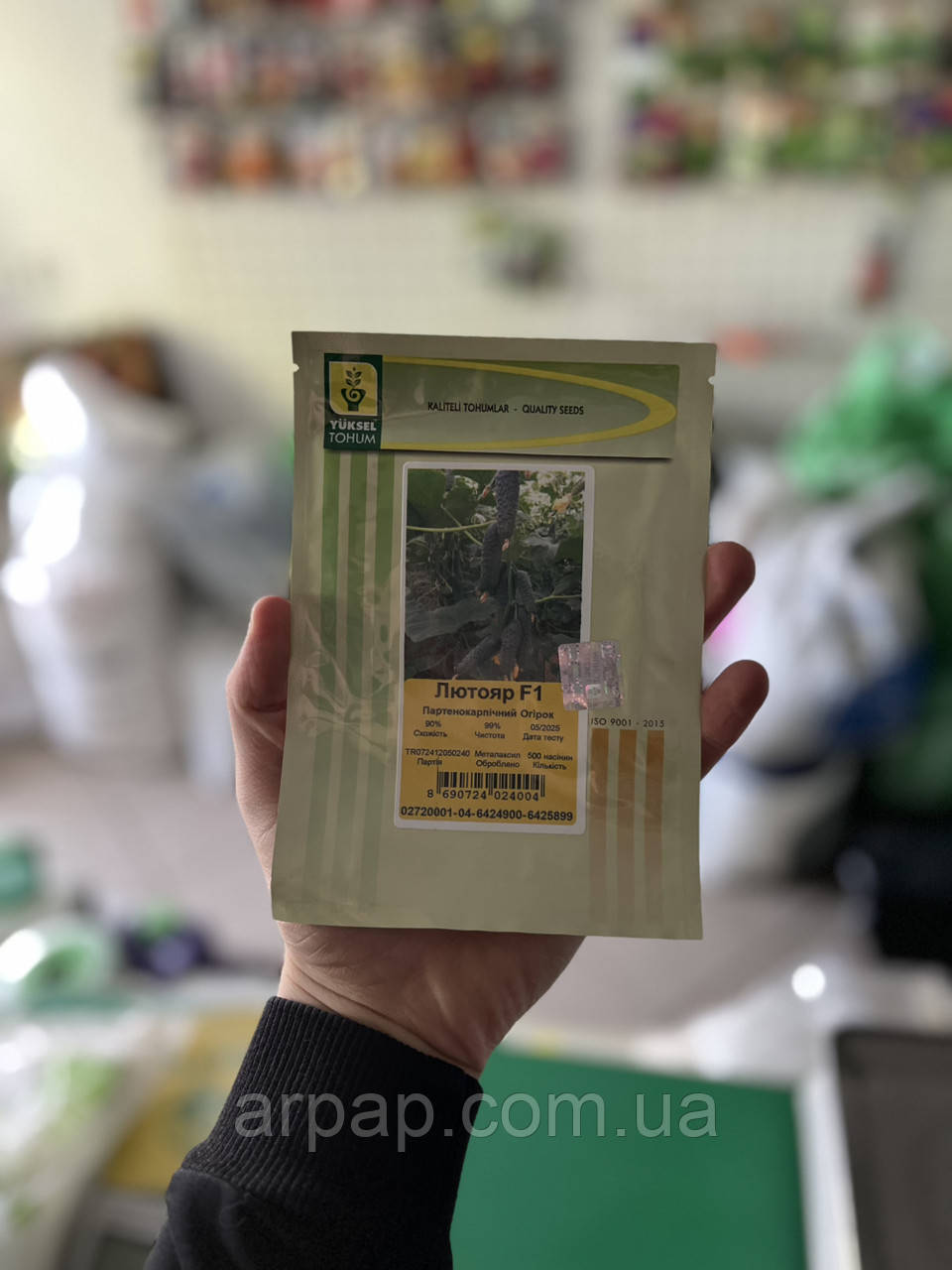 Насіння огірків корнішонів Лютояр F1 500 шт Yuksel Seeds, фото 1