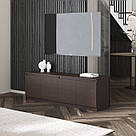 Тумба під телевізор 160 см завширшки з 4 закритими полицями для зберігання речей Меблі під телевізор у вітальню з ЛДСП, фото 5