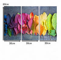 Модульна картина «Осіннє кольорове листя» Яскравий настінний декор для дому Друк на полотні 90х60 см з 3х частин, фото 5