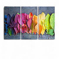 Модульна картина «Осіннє кольорове листя» Яскравий настінний декор для дому Друк на полотні 90х60 см з 3х частин, фото 2