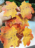 Листя клена осіннє, жовто-помаранчеве, фото 3