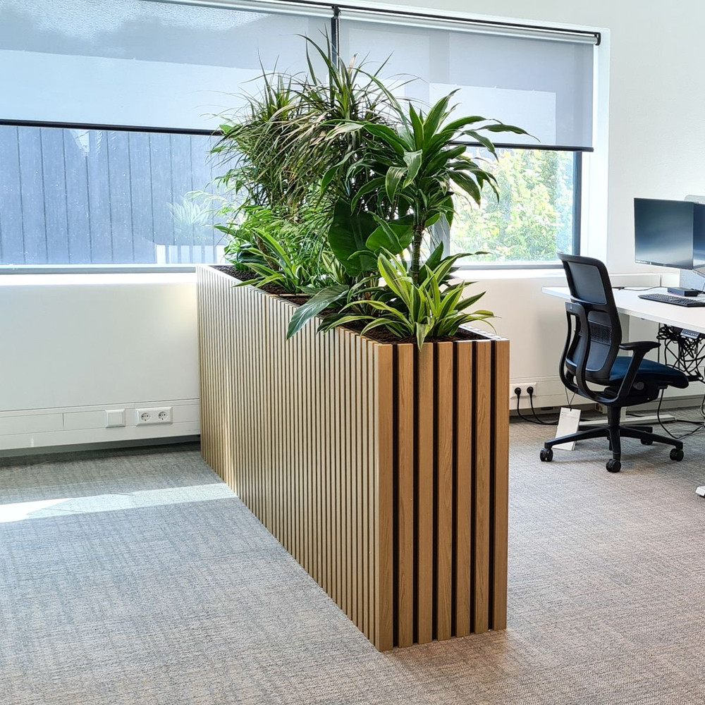 Кашпо для зонування простору та озеленення офісу, дерев'яне 1500х800х300, фото 1