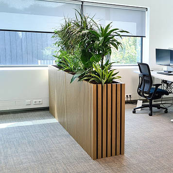 Кашпо для зонування простору та озеленення офісу, дерев'яне 1500х800х300
