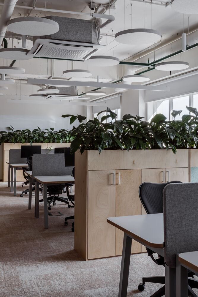 Тумба для кашпо із фанери, озеленення та розділення робочих місць 1100х1400х400 мм, фото 1