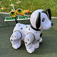 Інтерактивний Песик на радіокеруванні “Chip” | Собачка на пульті керування | Собака-робот на радіоуправлінні, фото 4