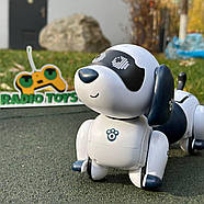 Песик на радіокеруванні “Сосиска” | Собака на пульті керування | Собака-робот на радіоуправлінні, фото 2