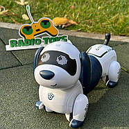 Песик на радіокеруванні “Сосиска” | Собака на пульті керування | Собака-робот на радіоуправлінні, фото 4
