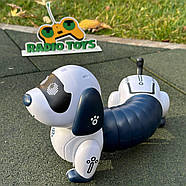 Песик на радіокеруванні “Сосиска” | Собака на пульті керування | Собака-робот на радіоуправлінні, фото 3