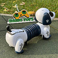 Песик на радіокеруванні “Сосиска” | Собака на пульті керування | Собака-робот на радіоуправлінні, фото 5