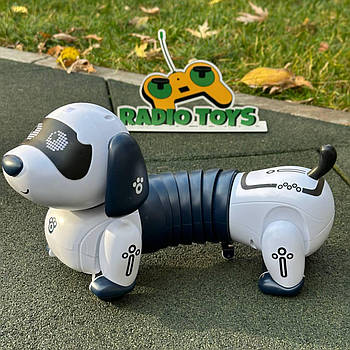 Песик на радіокеруванні “Сосиска” | Собака на пульті керування | Собака-робот на радіоуправлінні