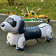 Песик на радіокеруванні “Сосиска” | Собака на пульті керування | Собака-робот на радіоуправлінні, фото 6