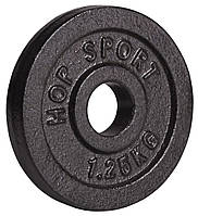 Диск металевий Hop-Sport 1,25кг