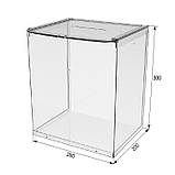 Ящик EKOSTAR без замка для пожертв та збору грошей 260x200x300, фото 3