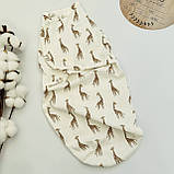 Пелюшка-кокон для новонародженого (тканина інтерлок) 56-62, фото 3