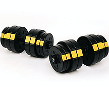 Гантелі розбірні Besport PowerPro 2х31кг