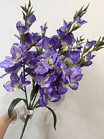 Неймовірний букет з пʼяти великих гладіолусів ( Premium, 77 см )