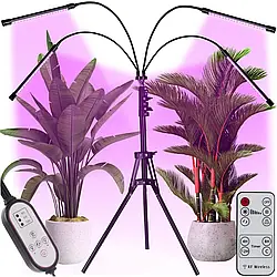 Фітолампа для кімнатних рослин з 4 режимами освітлення, від USB / LED лампа для фотосинтезу / Світлодіодна лампа для рослин