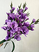 Неймовірний букет з пʼяти великих гладіолусів ( Premium, 77 см ), фото 4