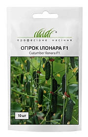 Огірок Ілонара 10 шт / Rijk Zwaan