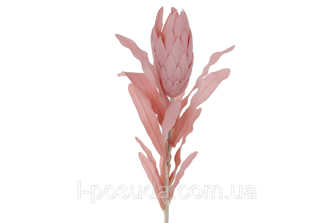 Протея штучна рожева, квітка на стеблі 70 см, фото 1