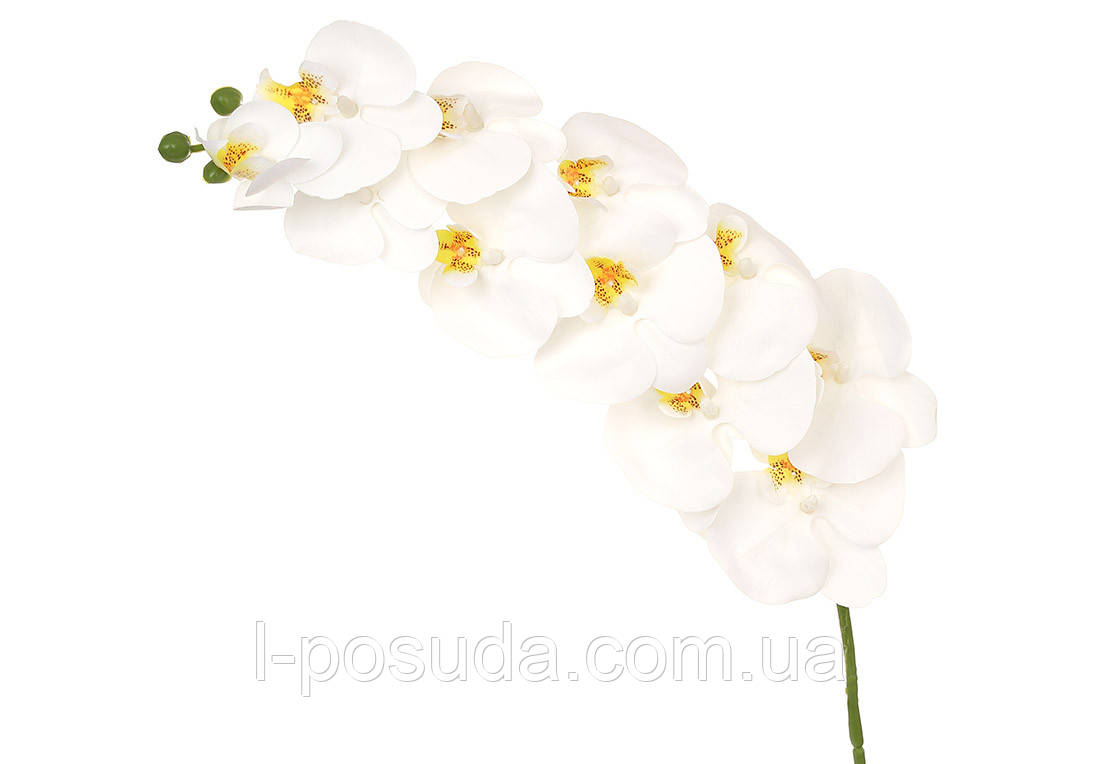 Штучна гілка орхідеї біла, 11 квіток 105 см, фото 1