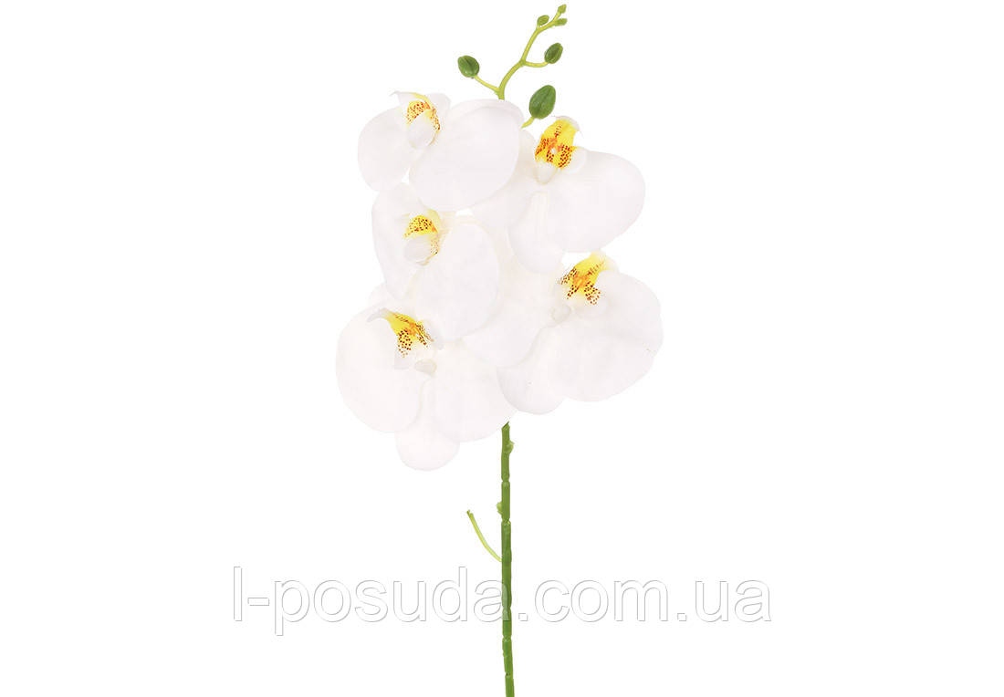 Штучна гілка орхідеї біла 76 см 5 квіток, фото 1