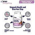 Вітамінно-мінеральна добавка Gigi Stomach Health & Diarrhea Stop для нормалізації функцій травної системи у собак та кішок 80 шт, фото 2