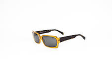 Окуляри сонцезахисні жіночі Vanni VS2239 A203 Vintage, фото 2