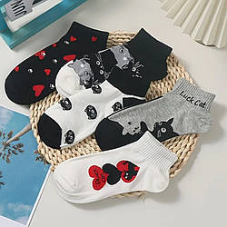 Набір 5 пар жіночих шкарпеток "Милі коти та сердечка" дихаючі до щиколотки IgnisFlos234