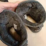 Уггі жіночі кожані Australia luxe чорні 40 розмір., фото 8