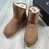 Уггі жіночі замшеві Australia luxe коричневі 41 розмір., фото 4