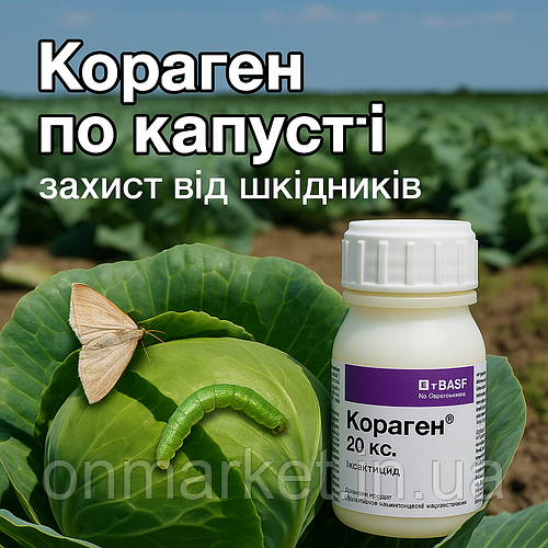 Кораген по капусті: як правильно обробляти та від яких шкідників захищає