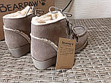Черевики жіночі зимові Bearpaw malinda замшеві на хутрі бежеві., фото 6