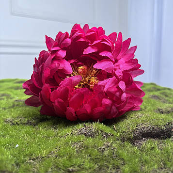 Хризантема штучна малинова |Д- 14 см | 16 шт. в упаковці